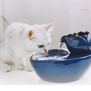 Pet Water Fountain